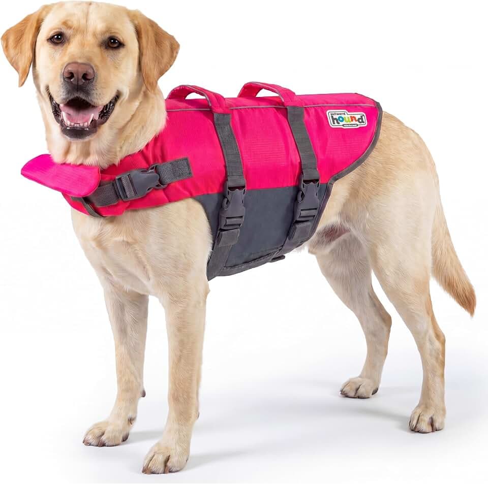 Outward Hound Granby Splash Dog Life Jacket, Life Vest, Pink, Large
