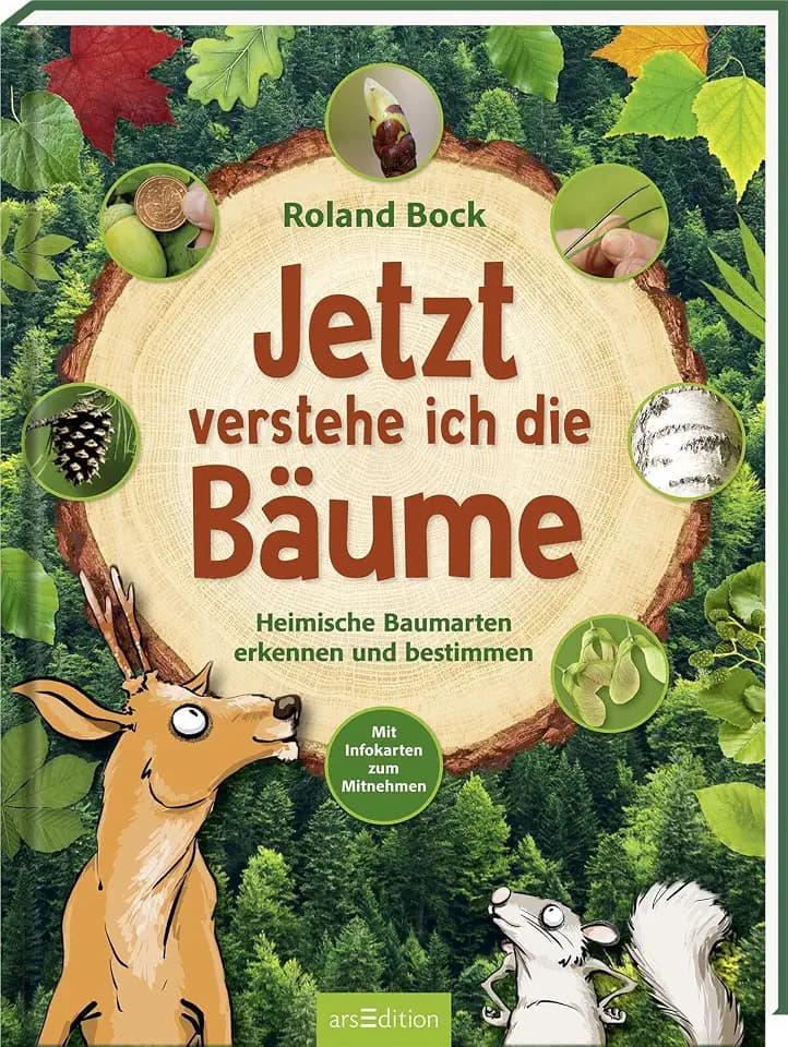 Jetzt verstehe ich die Bäume: Heimische Baumarten erkennen und bestimmen – mit Infokarten zum Mitnehmen | Kindersachbuch zu den 14 wichtigsten Laub- und Nadelbäumen | ab 6 Jahren
