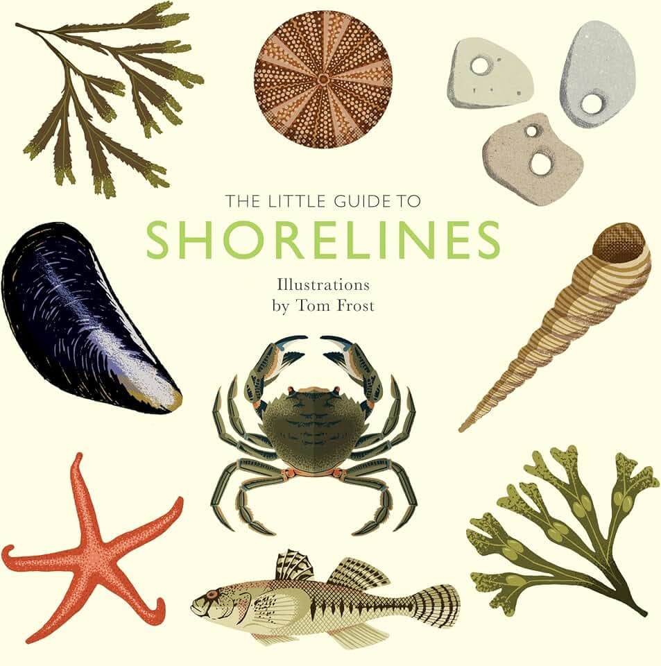 The Little Guide to Shorelines (Little Guides)