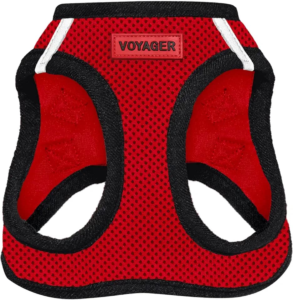 Best Pet Supplies Voyager Step-In Air Hundegeschirr â€“ Allwetter-Netzgewebe für kleine und mittelgroÃŸe Hunde â€“ Geschirr (rot/schwarzer Rand), GröÃŸe XXS