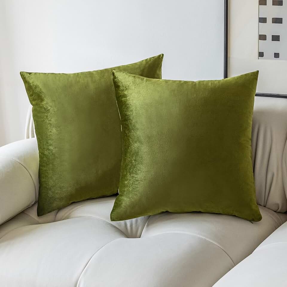 Demetex Kissenbezüge, 65 x 65 cm, Grün, große dekorative Samt-Kissenbezüge für Sommer, Sofa, Bett, Couch, Stuhl, Heimdekoration, 2 Stück, 65 x 65 x m, Grün