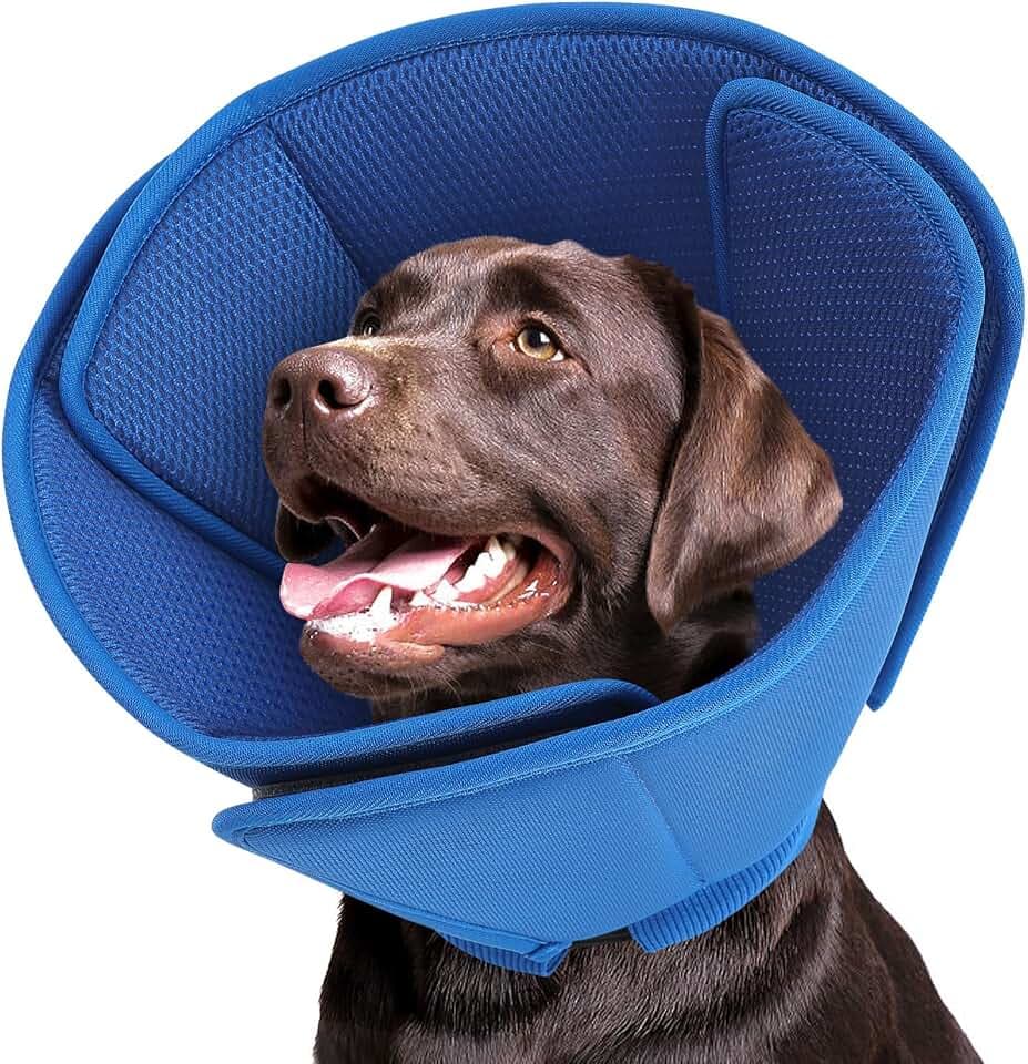 Queenmore Soft Dog Cone for Large Dogs, Comfy Dog Cone Collar After Surgery