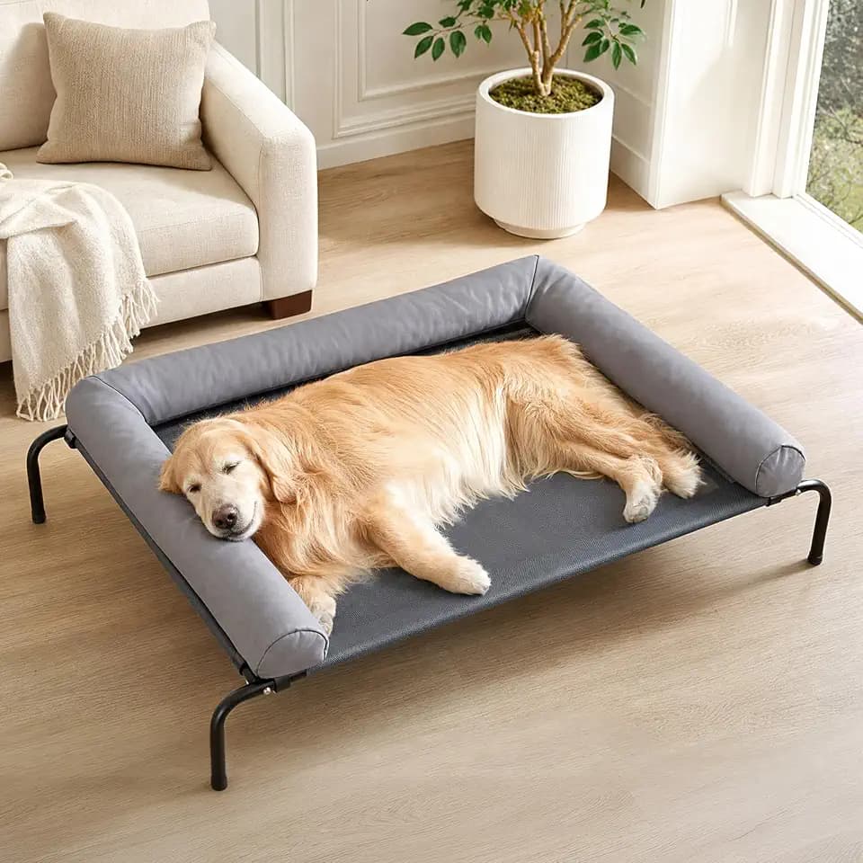 RRPETHOME Large Elevated Cooling Cot, Portable Outdoor Raised Dog Bed