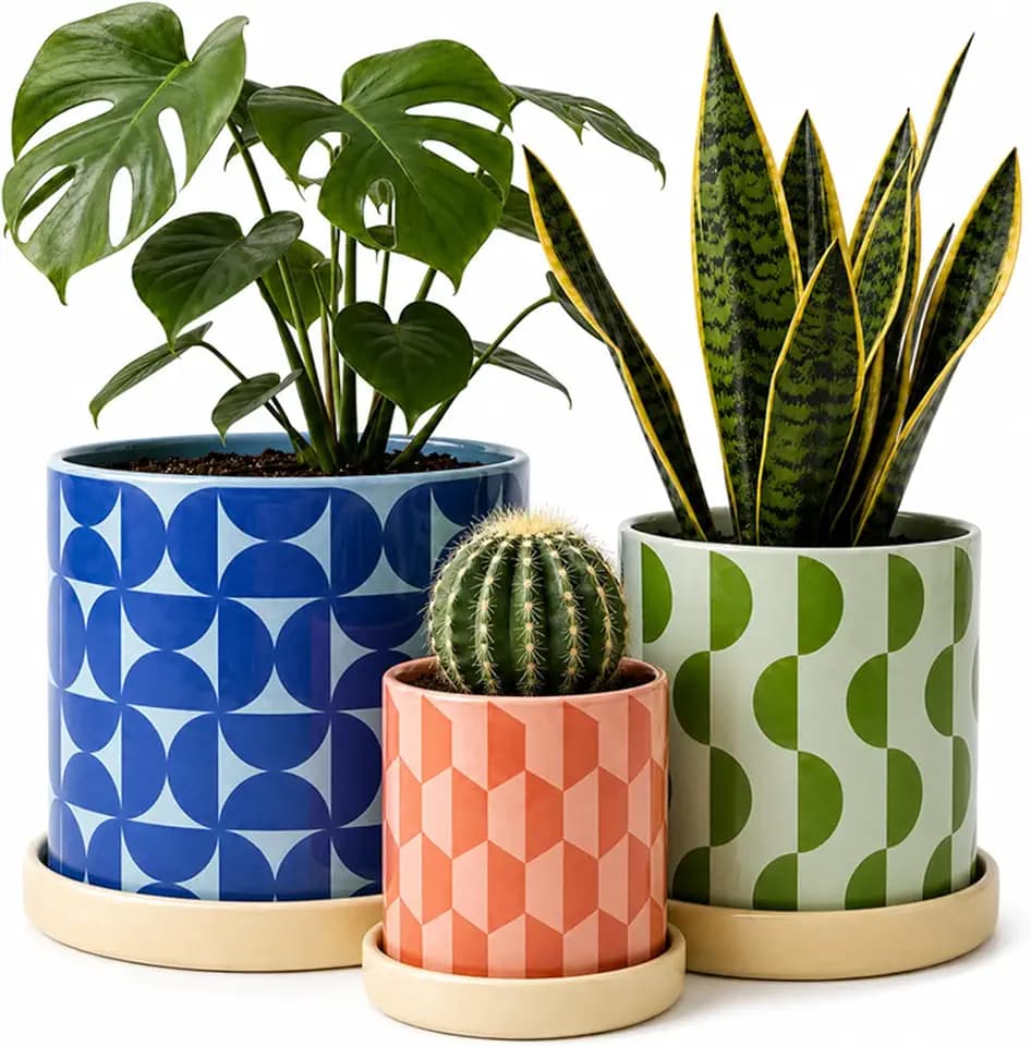 Original Earthlings Ceramic Plant Pots, Indoor Planters - Set of 3