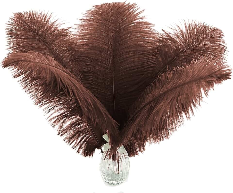 Ballinger Brown Large Ostrich Feathers Bulk for Vase,24Pcs,10-12inch