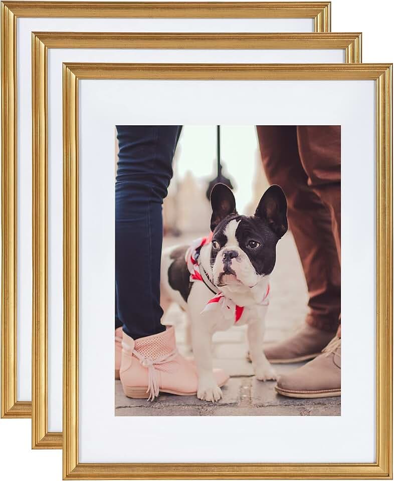 Kate and Laurel Adlynn Wall Picture Frame Set, 14" x 18" matted to 11" x 14", Gold, Set of 3