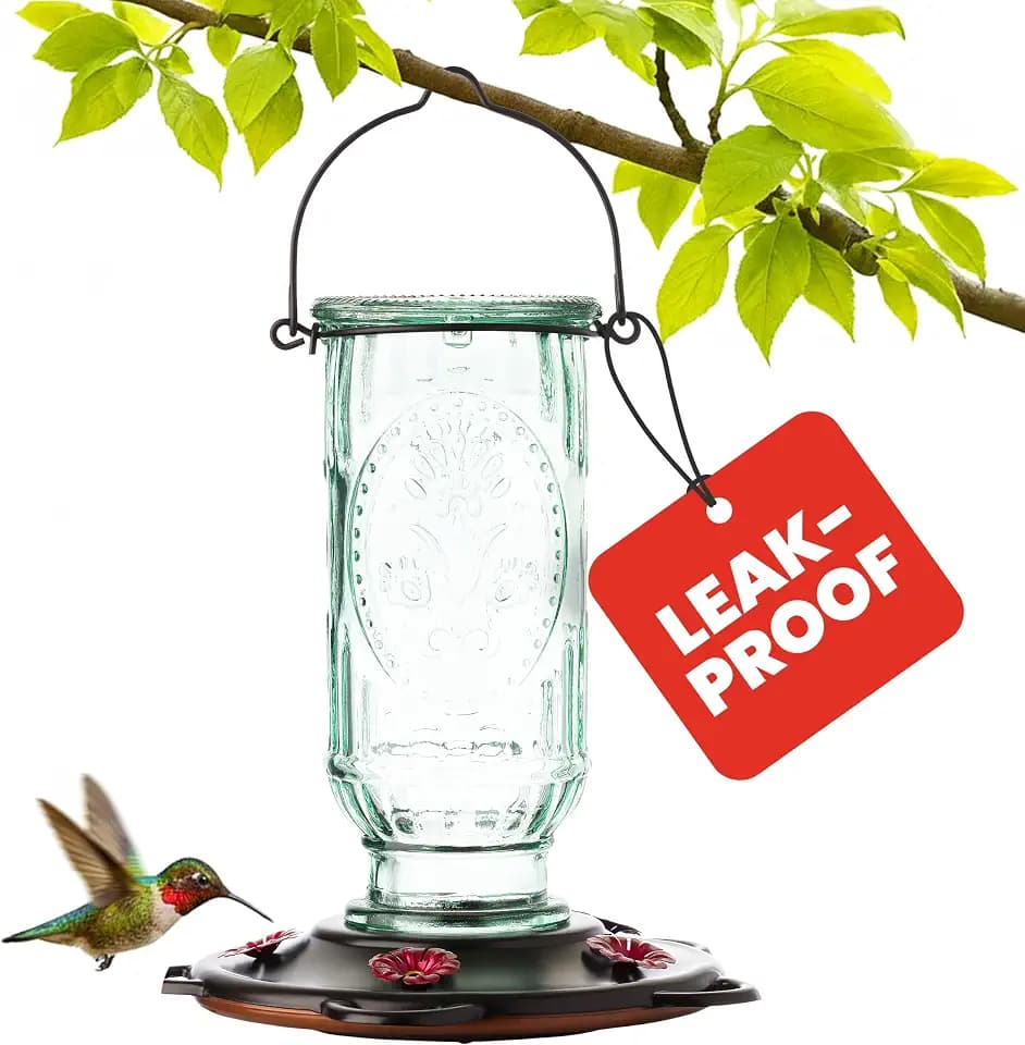 More Birds Vintage Glass Hummingbird Feeder, 20 oz Nectar Capacity