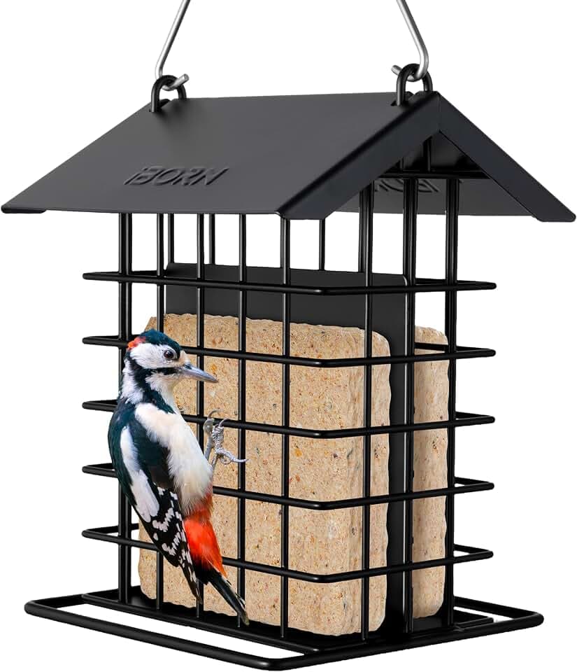 iBorn Suet Feeder for Outside Hanging, Bird Feeder for Outdoors, Suet Holder with Squirrel Guard Hanger Hook, Cage, Woodpecker, Weatherproof Metal Roof, All Metal, 1 Pack, Black