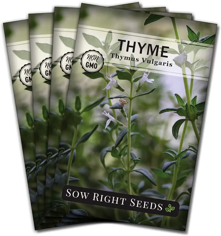Sow Right Seeds - Thyme Seed for Planting Home Perennial Herb Garden 4pk