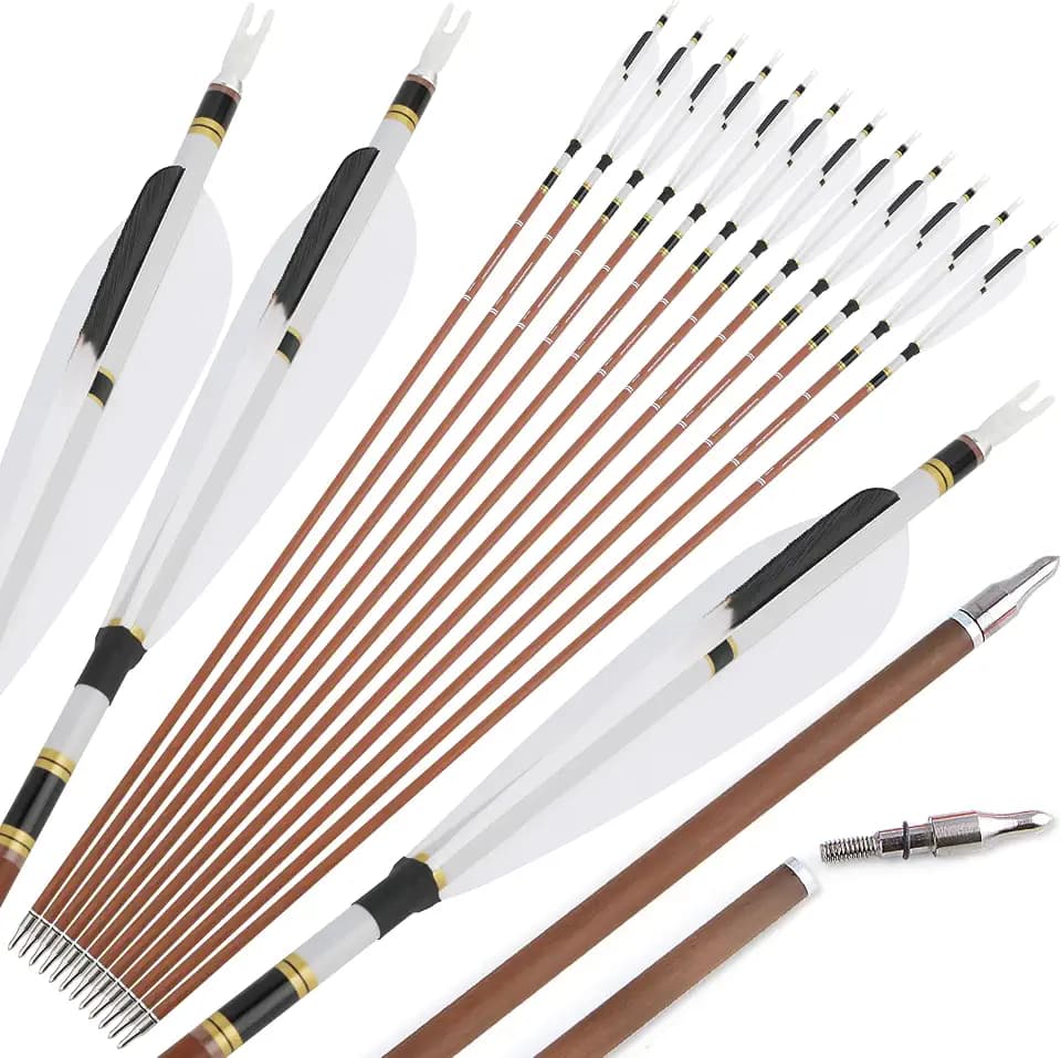 31" Carbon Arrows Spine 340 400 500 600 Archery Hunting Arrows with Natural Feather Removable Tips Targeting Arrows for Compound & Recurve & Traditional Bow 6/12pcs