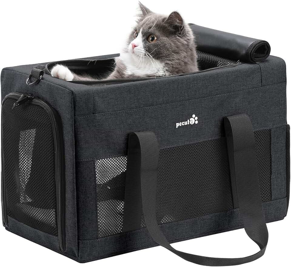 pecute Katzentasche Transporttasche Stabiler, Hundetransporttasche Halt Haustier Tragetasche,Katzentragetasche Leicht, Belüftete Katzentransportbox für Reisen,Auto,Tierarzt, bis 4 kg,Dunkelgrau