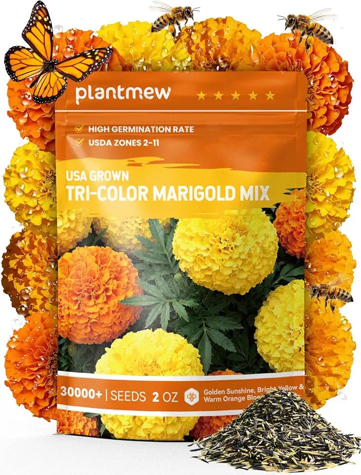 Tri-Color Marigold Seeds Bulk - 30,000+ Heirloom Flower Seeds for Planting Outdoors, 2oz Dwarf French Marigolds, Pollinator Magnet with High Germination, Quick Blooming