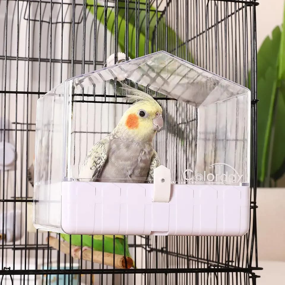 Colorday Käfig-Vogelbad, Papageien-Badewanne für kleine bis mittlere Vögel: Nymphensittiche, Wellensittiche, Mönchsittiche, Keilschwanzsittiche, Unzertrennliche, Finken, transparent