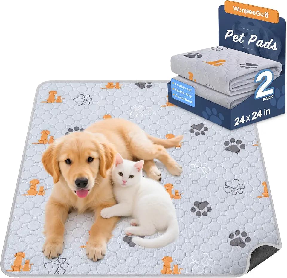 WanpeeGoo Washable Pee Pads for Dogs, Waterproof, 24 x 24 in, 2 Pack, Orng