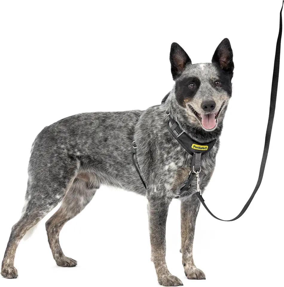 PetSafe Easy Walk Comfort No Pull Dog Harness, Black, Medium