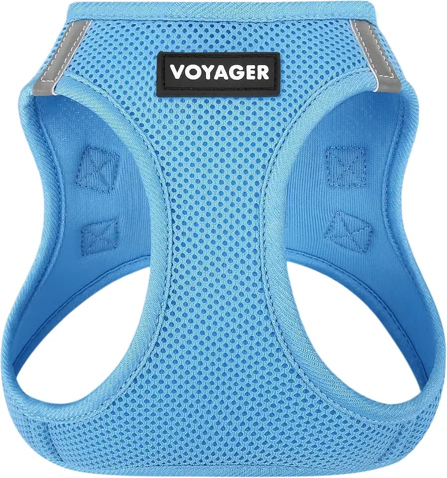 Voyager Step-in Air Dog Vest Harness - Sky Blue, Large