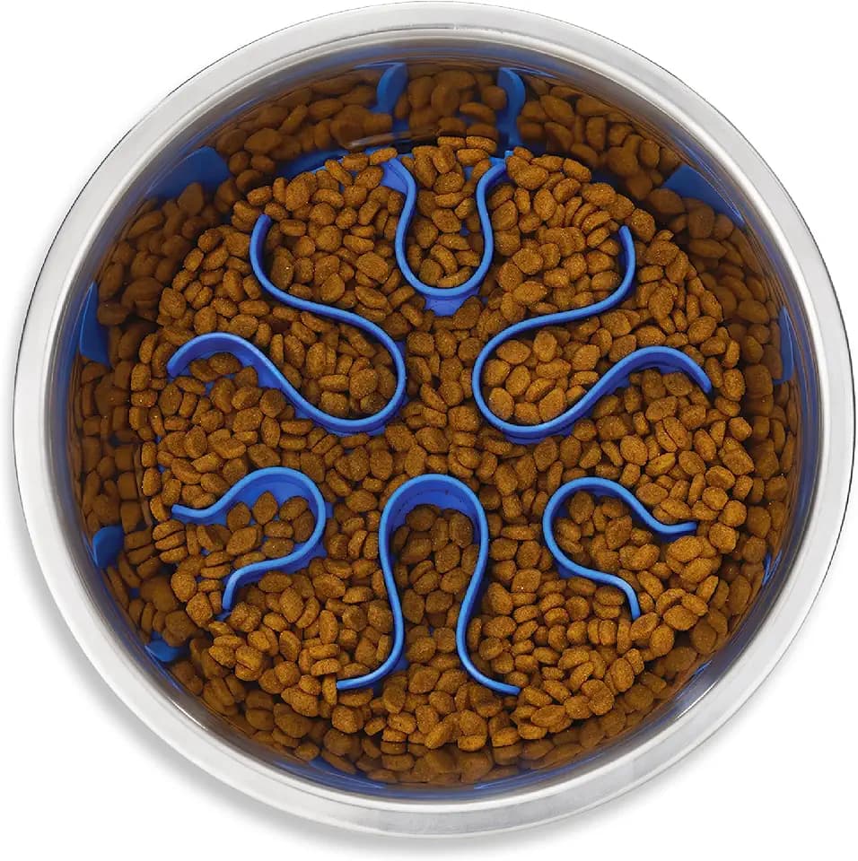 Outward Hound Fun Feeder Stainless Steel Slo Bowl for Dogs, Medium, 8.3"
