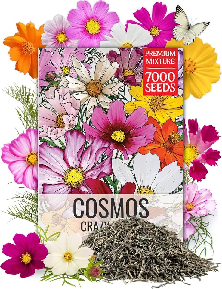 Seed Needs Cosmos Seeds Original Crazy Mix 1.5 Ounce Heirloom Bulk Pack