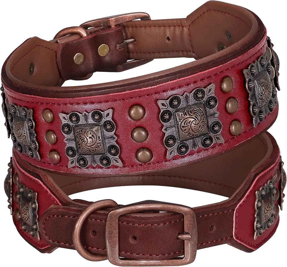 PET ARTIST Genuine Leather Dog Collar, 2 inch Wide, Red,Neck 22-25"