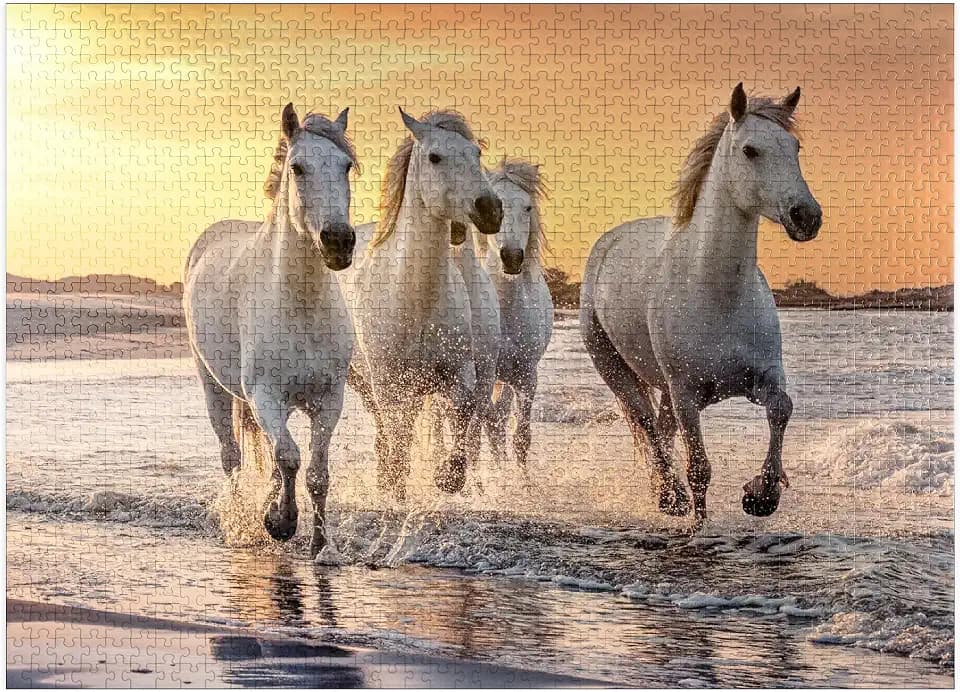 MyPuzzle White Camargue Horses Galloping On A Beach in France - Premium 1000 Piece Jigsaw Puzzle for Adults