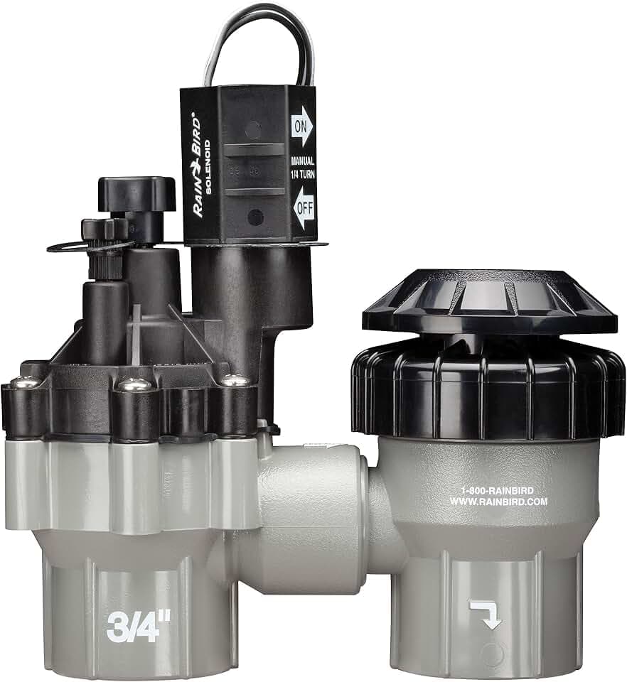 Rain Bird DASASVF075 Professional Anti-Siphon Valve, 3/4"