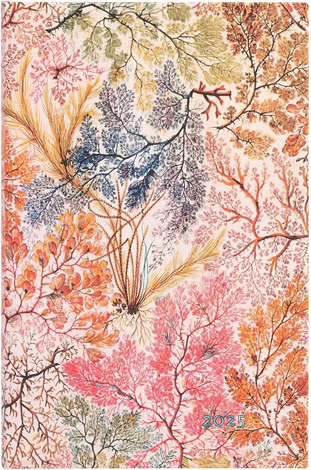 Paperblanks 12-Monatskalender 2025, Anemone, Midi, Verso, mit Klappumschlag