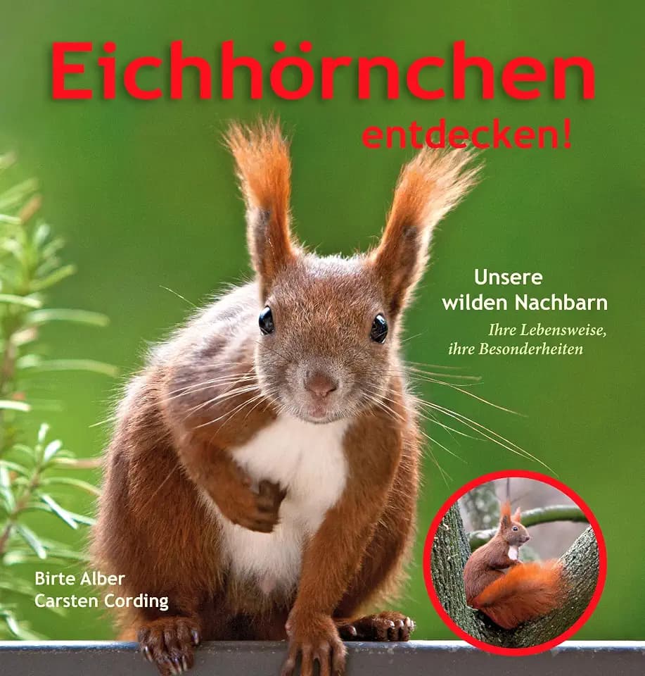 Eichhörnchen entdecken!: Unsere wilden Nachbarn – ihre Lebensweise, ihre Besonderheiten