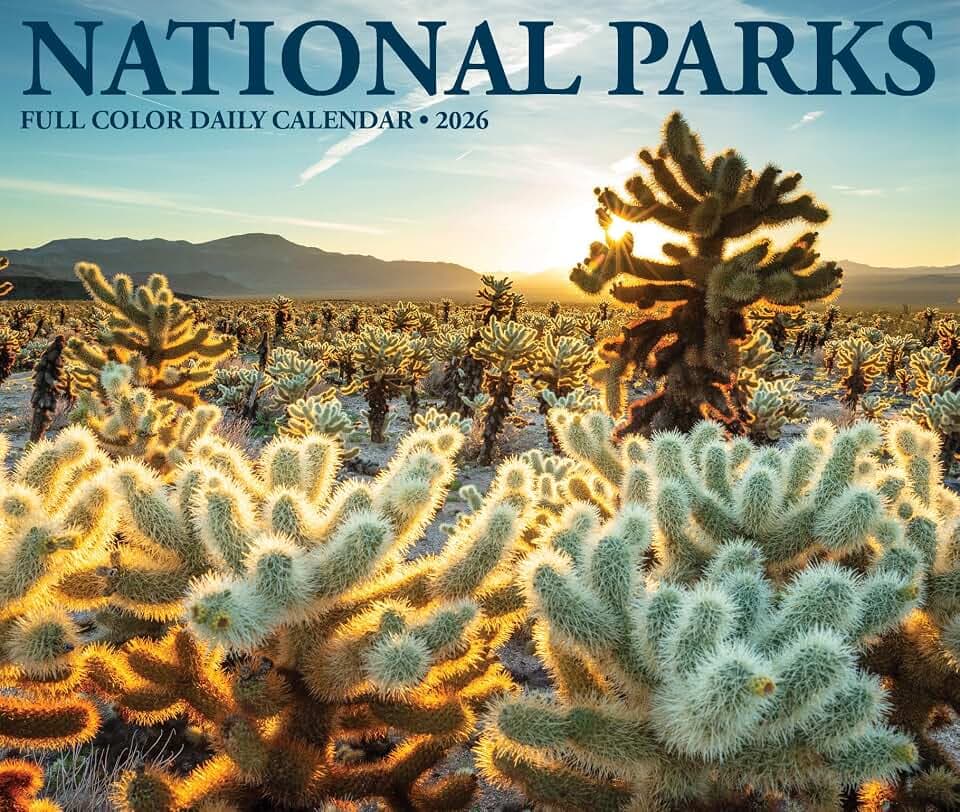 National Parks 2026 5.4 X 6.2 Box Calendar