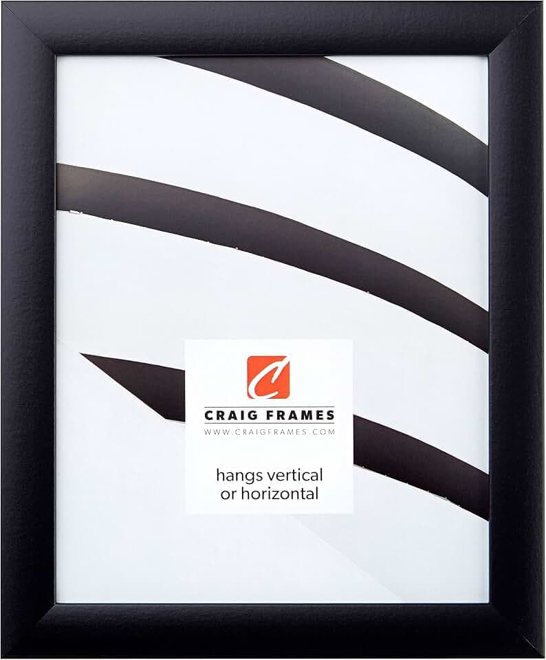 Craig Frames 23x27 Black Picture Frame, Wall Decor for Posters and Photos