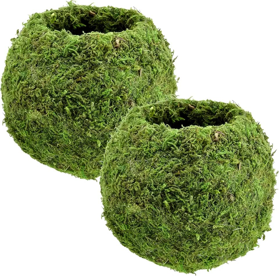 Arcadia Garden Products KO02 Medium Size Kokedama-6.5 x 5.9”, Set of 2, Green