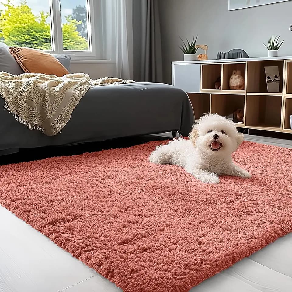 OLANLY 3x5 Machine Washable Small Bedside Rug, Soft Fluffy Shaggy Rugs for Living Room, Bedroom, Indoor Floor Carpet for Kids Girls and Boys, Preppy Dorms, Nursery, Home Decor Aesthetic, Rust Red