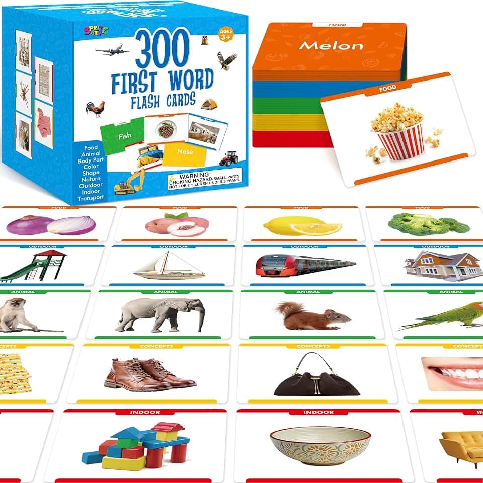 300 Nomen Bild-Wortkarten, Bild-Lernkarten Sprachenbauer Visuelle Hilfe Sprachentwicklungswerkzeug für Autismus, ESL-Lehrmaterialien für Erwachsene, Nonverbale Kinder Vokabelbauer für Kleinkinder