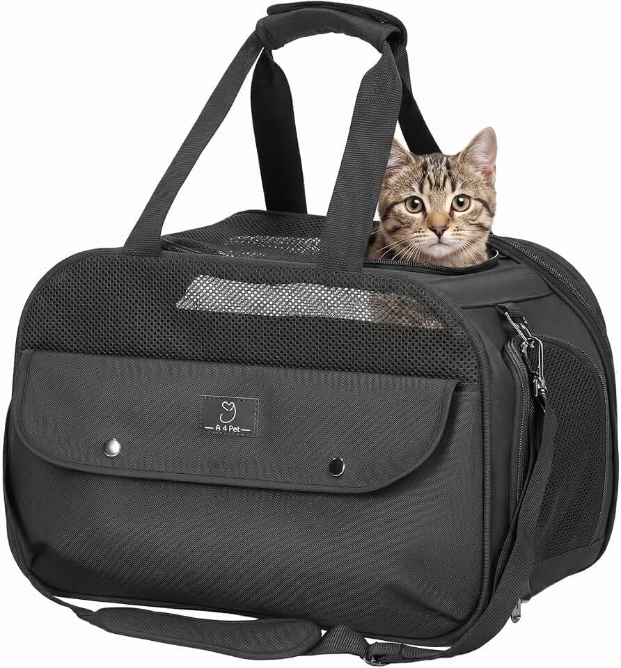 A 4 Pet Transportbox Katze & Hund, Hundetasche Flugzeug, Patentschnallen, Schwarz
