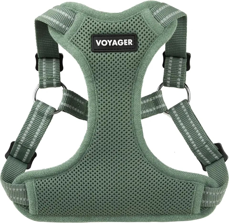 Voyager Step-in Flex Adjustable Dog Harness - Moss Green, Small