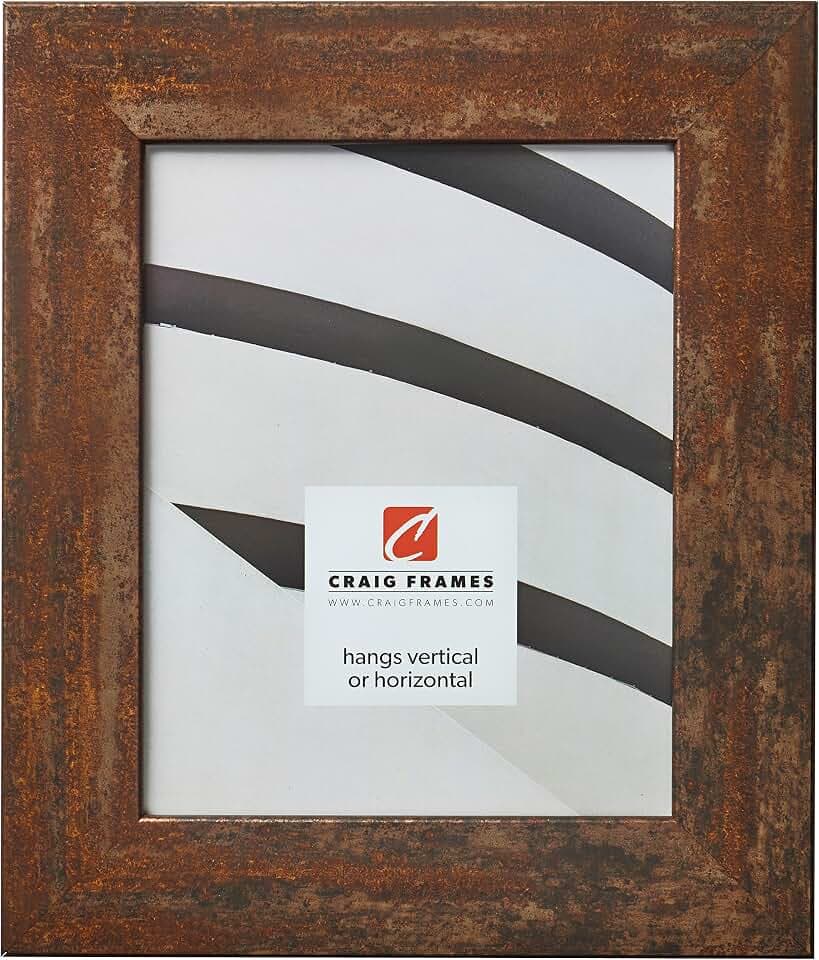 Craig Frames Bauhaus 200 Picture Frame, 24 x 32 Inch, Rust