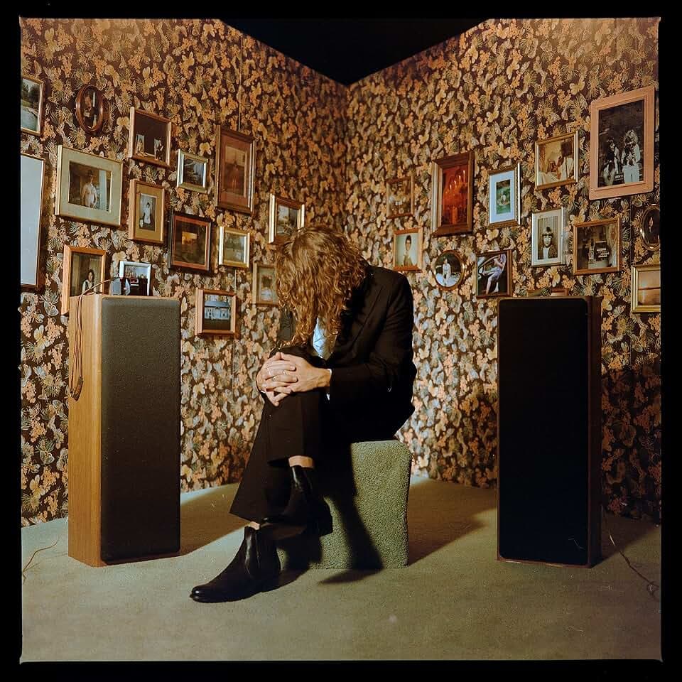 This Is a Photograph [Vinyl LP]