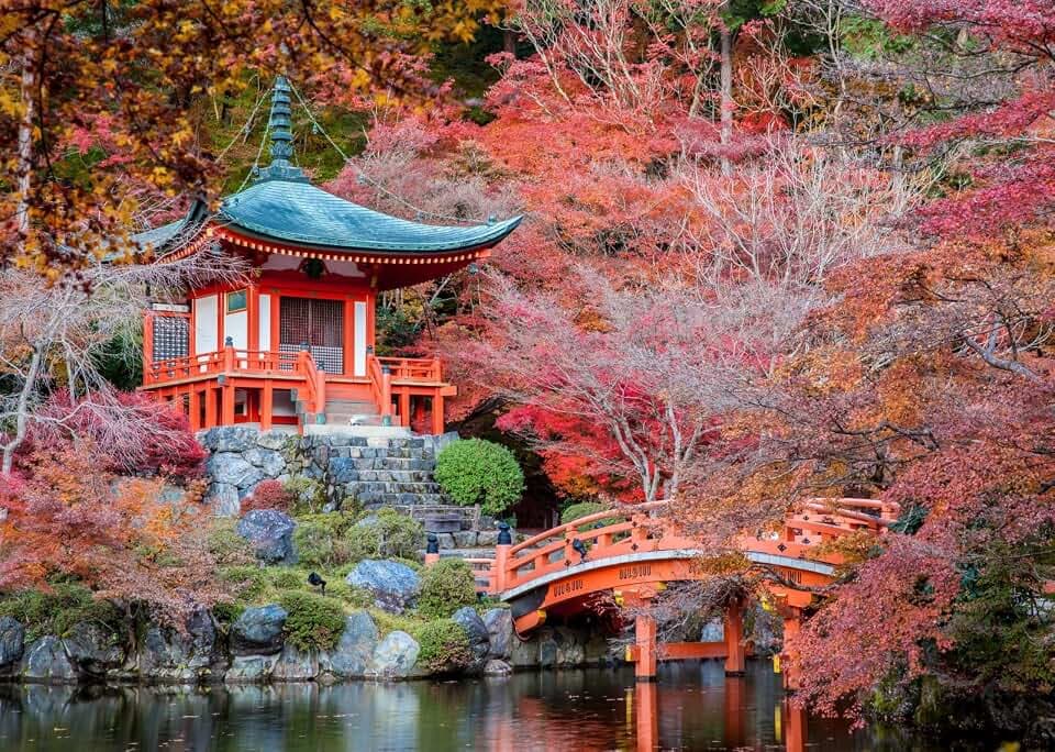 BELECO 7x5ft Fabric Japanese Backdrop Japan Daigo-ji Temple Kyoto City View Autumn Red Maple Trees Scenery River Bridge Garden Nature Backdrop Japanese Party Decorations Portrait Shooting Photo Props