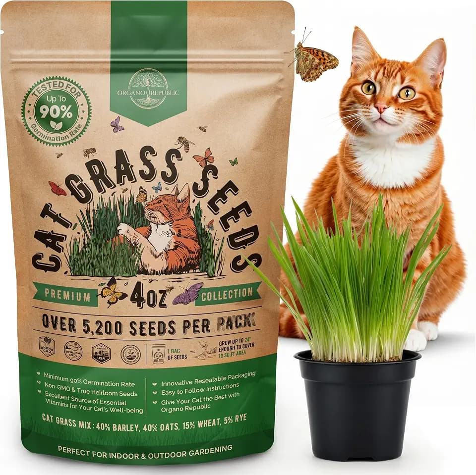 Cat Grass Seeds Mix - 5,200 Non-GMO Heirloom Seeds for Cats & Pets, 4 oz Pack for Growing Fresh Barley, Oat, Rye & Wheat Grass Seeds for Planting, Indoor Plants for Pets, Hairball Remedy for Cats