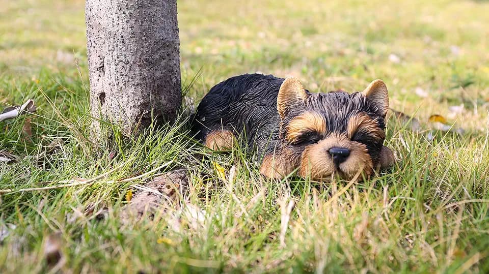 Hi- Line Gift 87710-M Yorkshire Terrier Puppy Sleeping Pet Pals Statue, Black