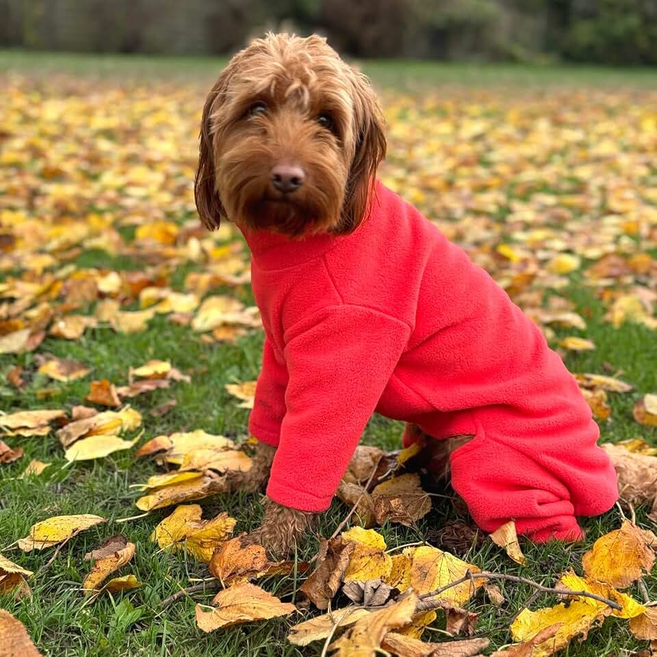 Warmes vierbeiniges Hunde-Fleece, superweich, witterungsbeständig (Koralle, groß)