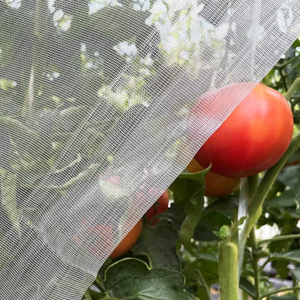 Garden Netting 4x10ft for Plants - Ultra Fine Mesh Bug Insect Barrier
