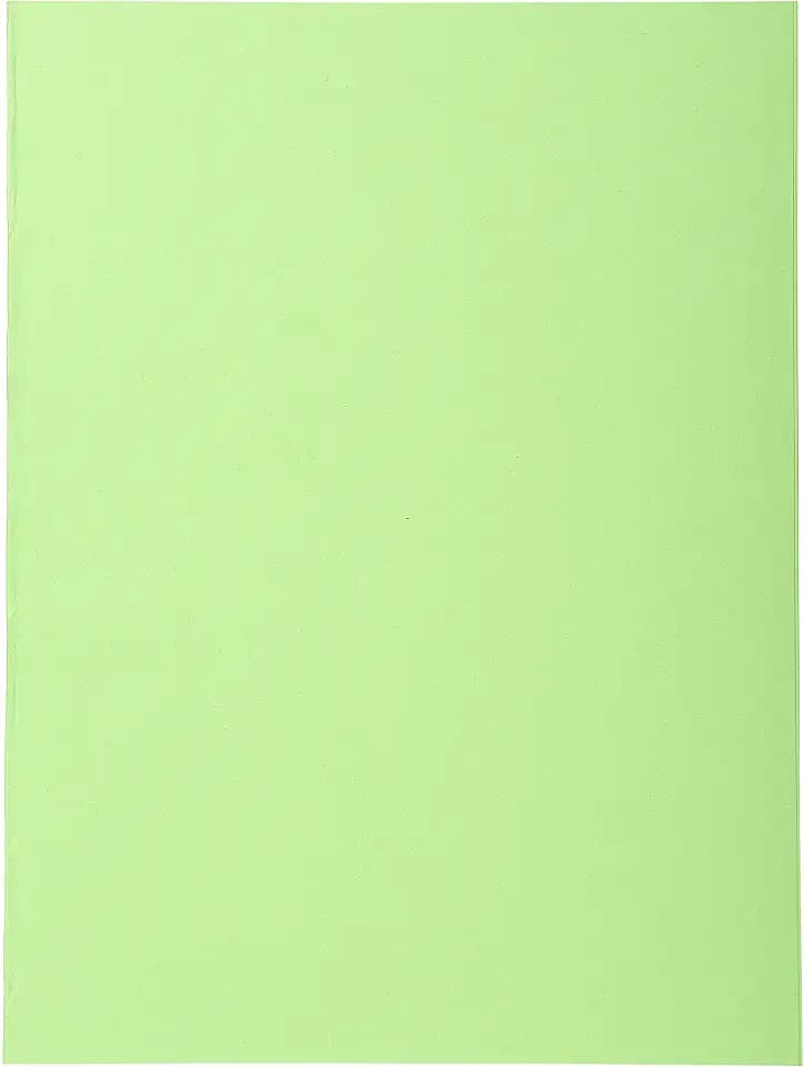 Exacompta 410013E Packung (mit 100 Aktendeckeln Forever, aus Recycling Karton 250 g, DIN A4, 21 x 29,7 cm) lindgrün