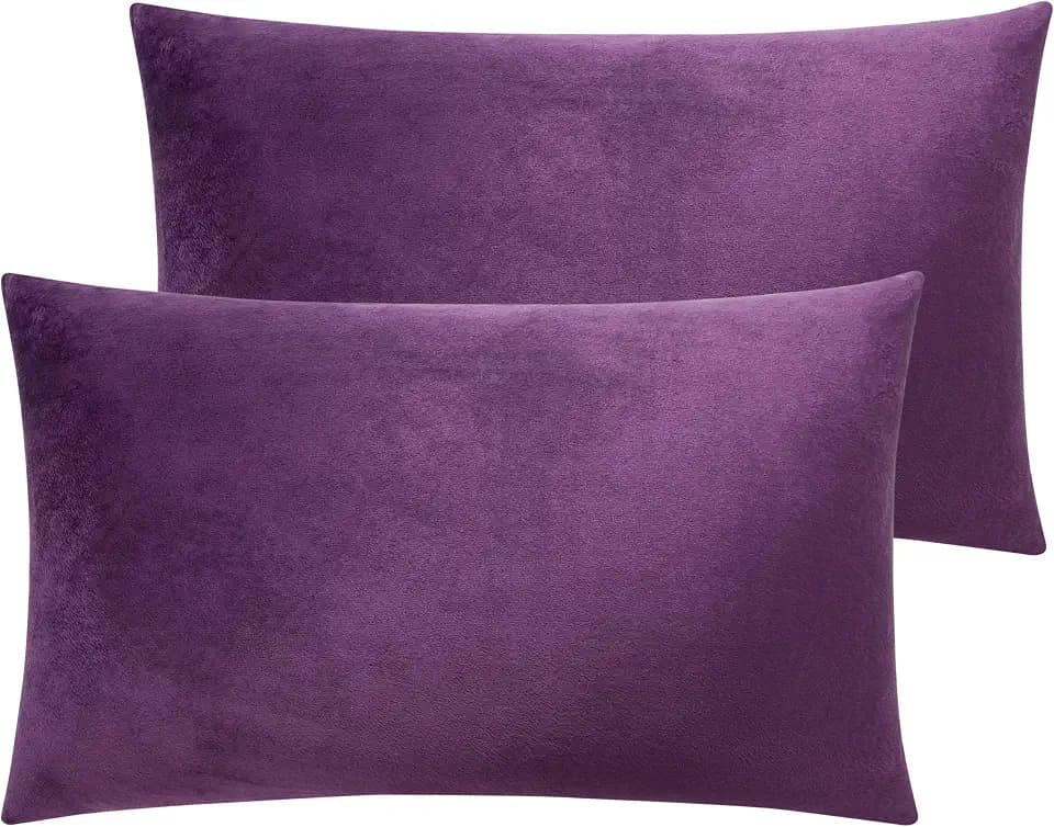 NTBAY Kissenbezüge aus Samt mit Reißverschluss, 2er-Pack super weiche und gemütliche Luxus-Kissenbezüge, 50x75 cm, Violett