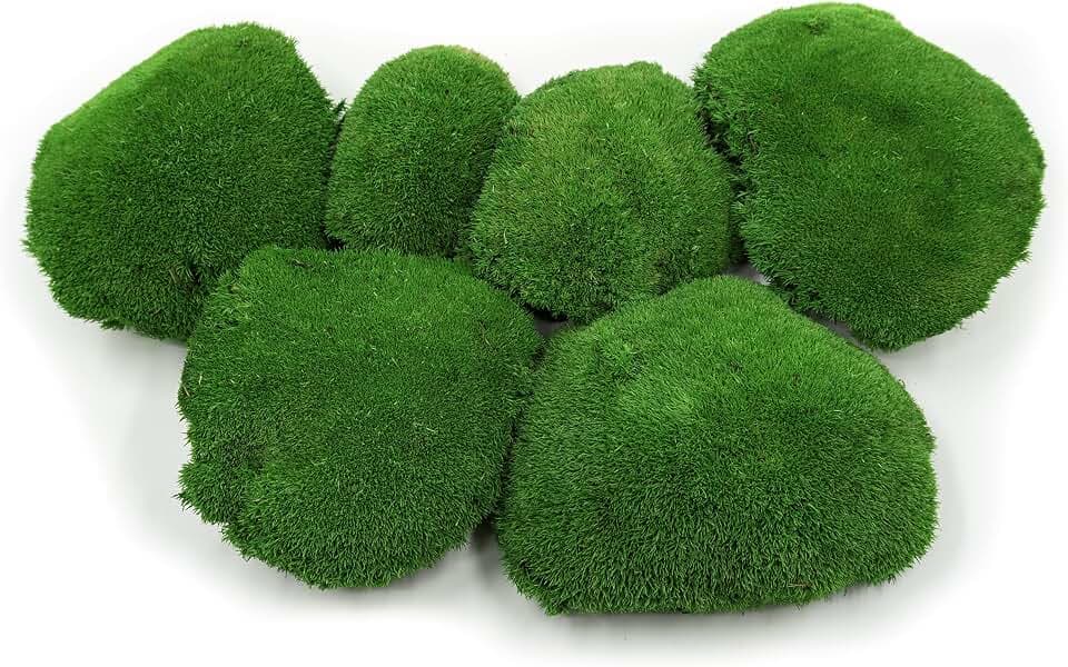 Kugelmoos, Ballenmoos Moos konserviert in 3 versch. Farben, echtes haltbares Naturprodukt zum Moosbild basteln, deckt 30x30cm Fläche - 0,10m² (Mittelgrün)