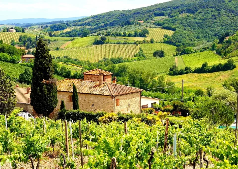 BELECO 7x5ft Fabric Italian Vineyard Photography Backdrop Tuscany Countryside Farm Scenery Stone House Green Mountain Trees Background Italian Party Decorations Europe Travel Portrait Photo Props