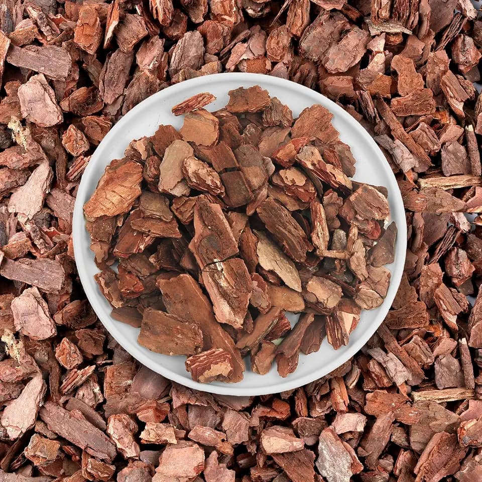 Orchid Potting Bark-6QT Organic Orchid Bark for Plants, All Natural Pine Bark Wood Chips for Houseplant Mulch, Orchid Plants Root Development, Mulch for Potted Plants