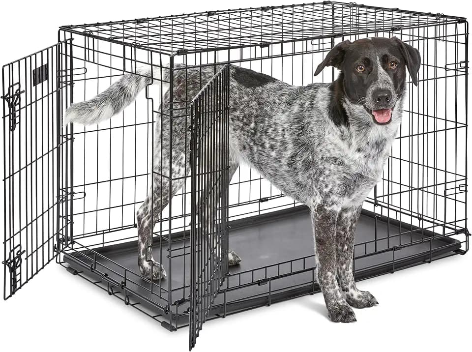 Midwest 36-Inch Double Door iCrate, for Medium-Large Breeds, 41-70 lbs