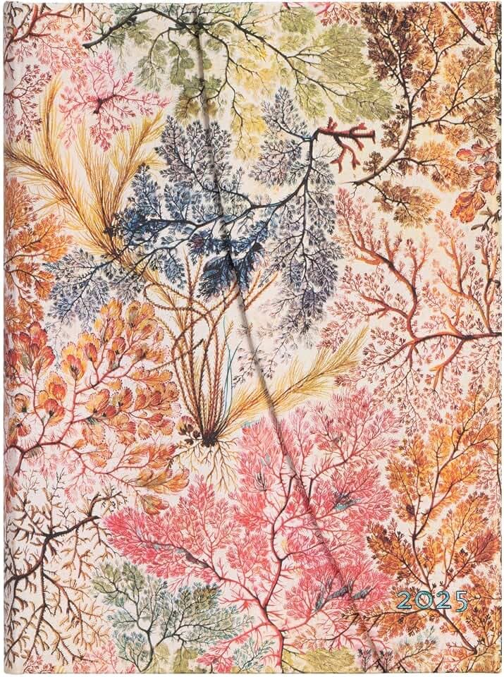 Paperblanks 12-Monatskalender 2025, Anemone, Midi, Vertikal, mit Klappumschlag