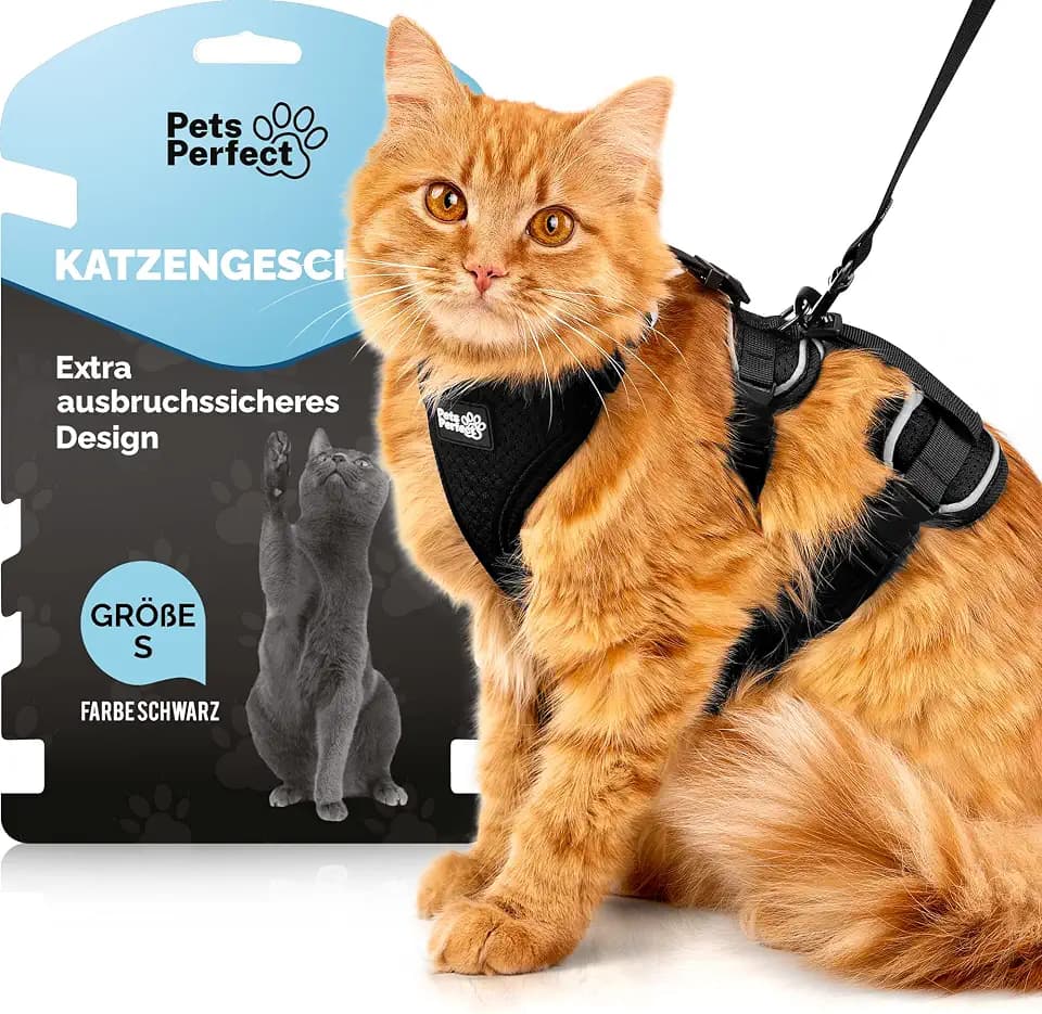 Katzen Geschirr Set MIT Leine – Katzengeschirr mit Leine Ausbruchsicher – extra sicheres & verstellbares Katzengeschirr für Spaziergänge – Größe S, Schwarz