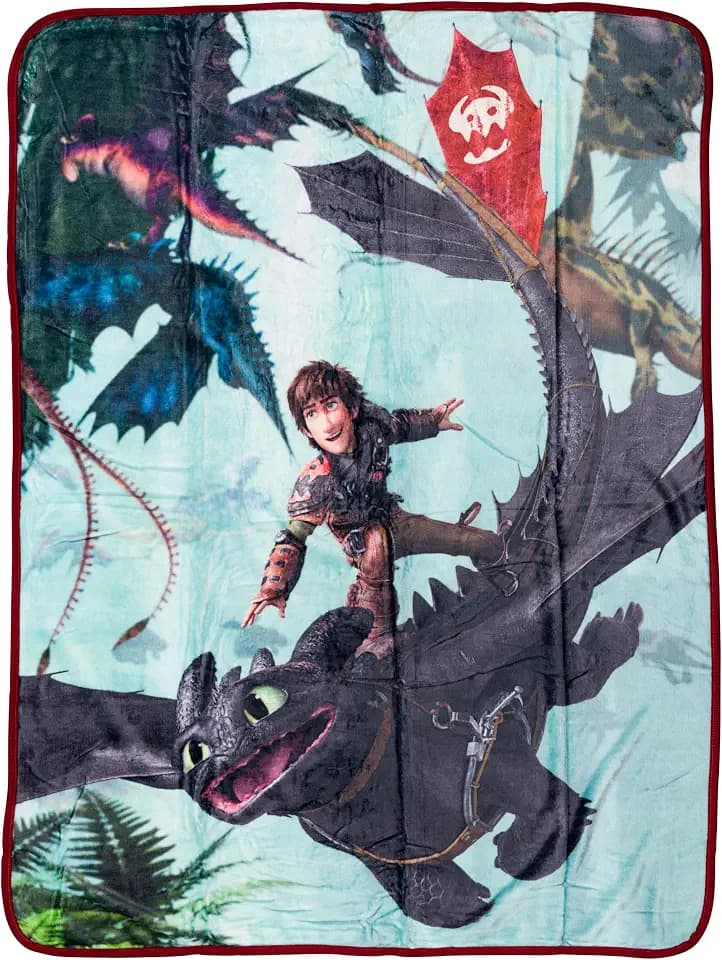Silver Buffalo How to Train Your Dragon, Fleece Throw Blanket, 45x60in